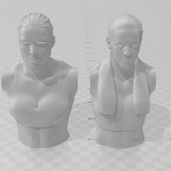 Screenshot-2022-12-07-181227.jpg STL file Ronda Rousey and Shayna Bazler Bust Pack・3D printer model to download, TheGreatHarryBarnett