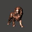 Screenshot_13.jpg Lion _ King of the Jungles  - Low Poly - Excellent Design - Decor