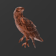 Screenshot_7.png Low Poly - Noble Eagle Magnificent Design