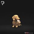 Dachshund-Miniature-Smooth-Haired-Pose-09-Dog-3D-Print-1s.jpeg Dachshund Miniature Smooth Haired Pose 09