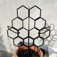 IMG20221031100647.jpg Modular trellis to support climbing plants