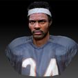 WP_0017_Layer 3.jpg Walter Payton NFL Star textured bust
