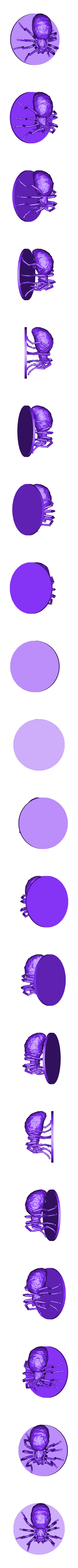 Skullspider.stl Araña del cráneo