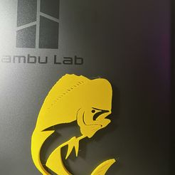 unnamed.jpg Free STL file Mahi Mahi Fish・3D printing template to download