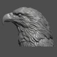 6.jpg Eagle