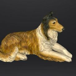 Capture-d’écran-2023-09-25-150900.jpg Archivo OBJ perro collie・Diseño de impresora 3D para descargar