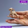 9.jpg Labrador retriever realistic dog articulated flexi toy (STL & 3MF)