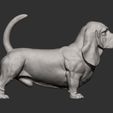 basset-hound7.jpg basset hound 3D print model