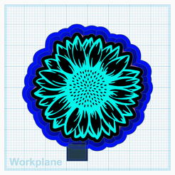 Sunflower-with-seeds.png Tournesol avec graines