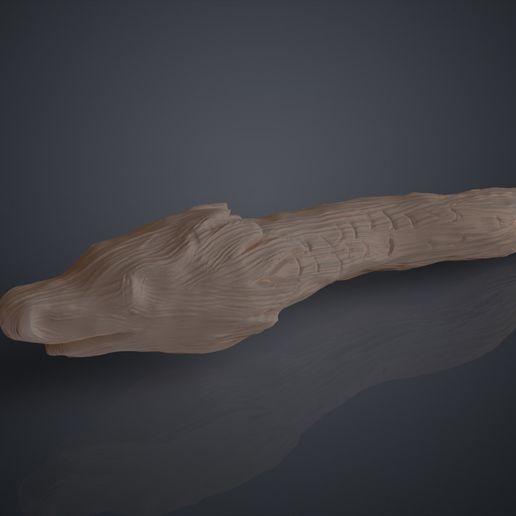 Dragonheart.7.jpg Dragon Heartstring's Wand