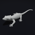 24.png Gargoyle Gecko Pet Reptile