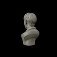 22.jpg Jin bust 3D print model
