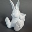 20230320_183039.jpg STL-Datei Osterhase・3D-druckbare Vorlage zum herunterladen
