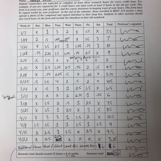 Gubby Forsaken Papercraft