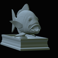 Dentex-mouth-statue-51.png fish Common dentex / dentex dentex open mouth statue detailed texture for 3d printing