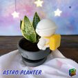 Photoroom_20240214_161455.jpg Astro Planter