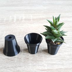 20181101_084314.jpg Miniature succulent planter