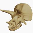05.jpg Triceratops: Skull and Body