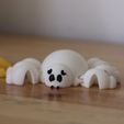 IMG_0277.jpg KAWAII FLEXI SPIDER. 3D DESING FOR 3D PRINTING (Print in place).