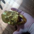 356910164_1365280927354385_6752963905948441555_n.jpg Skull decor / skull holder / skull wall decor / hanging skull