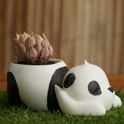 DSC00635.jpg STL file panda bear flower pot・3D print design to download