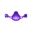 FemaleReproductiveSystem.stl Female repoductive organ