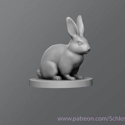 d1e85d8dc23a474528c97acf4bf52726_display_large.jpg Download free STL file Rabbit • 3D print design, schlossbauer