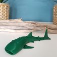 20220918_132946.jpg Tubarão-baleia Flexi (Multicolor .3mf incluído)