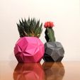 IMG_20201027_222524.jpg Succulent origami pot