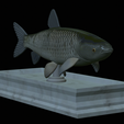 Grass-carp-statue-10.png fish grass carp / Ctenopharyngodon idella statue detailed texture for 3d printing