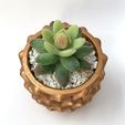 3D-mold-pritnting-for-making-Pot-8.jpg Concrete planter Pot 3D printed mold - Include Pot file for print - You can make pots of any size you want for your plants