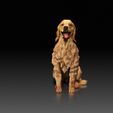 Golden-Retriever02.jpg Golden Retriever - DOG BREED - CANINE -3D PRINT MODEL