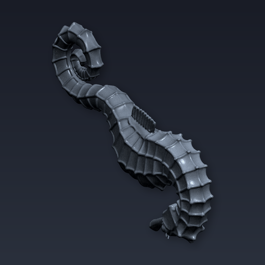 Articulated Seahorse — Print in Place Fidget Toy | STL File for 3D Printing