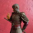 IMG_6058.jpg Monkey King