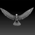 bird11_2.jpg Bird lowpoly for game - bird unity3d - bird ue5