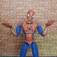 IMG_20220903_085546_520.jpg Spider-Man: Friend or Foe Complete Action Figure