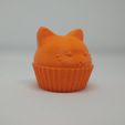 IMG_20200313_075245.jpg Muffin cat