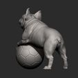 French_Bulldog8.jpg French Bulldog 3D print model
