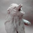 6.jpg STL file Long Haired Bear Sculpture・3D printable model to download