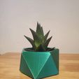 IMG_20250713_141351.jpg Twisted Pentagonal Planter