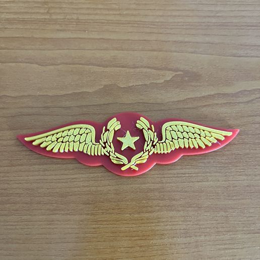 IMG_3328.jpg Flügel der chilenischen Luftwaffe