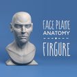 Cover_square.jpg Face Plane Anatomy Firgure