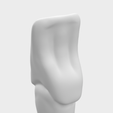Captura-de-Pantalla-2022-05-27-a-la-s-18.18.43.png Right upper lateral incisor tooth