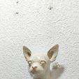 IMG-20250621-WA0023.jpg chihuahua dog head wall mount stl