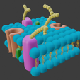membrana-2.png CELL MEMBRANE