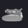 Horse_Head-render-5.png 马头 3D 模型