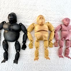IMG_5.jpg Download STL file ARTICULATED PRIMATES - WITHOUT SUPPORT • Design to 3D print, Aslan3d