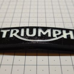 20210306_192329.jpg Back Cover Triumph Tiger 900 from 2020