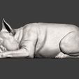 French-Bulldog9.jpg French Bulldog 3D print model