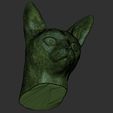 23.jpg Abyssinian cat head for 3D printing